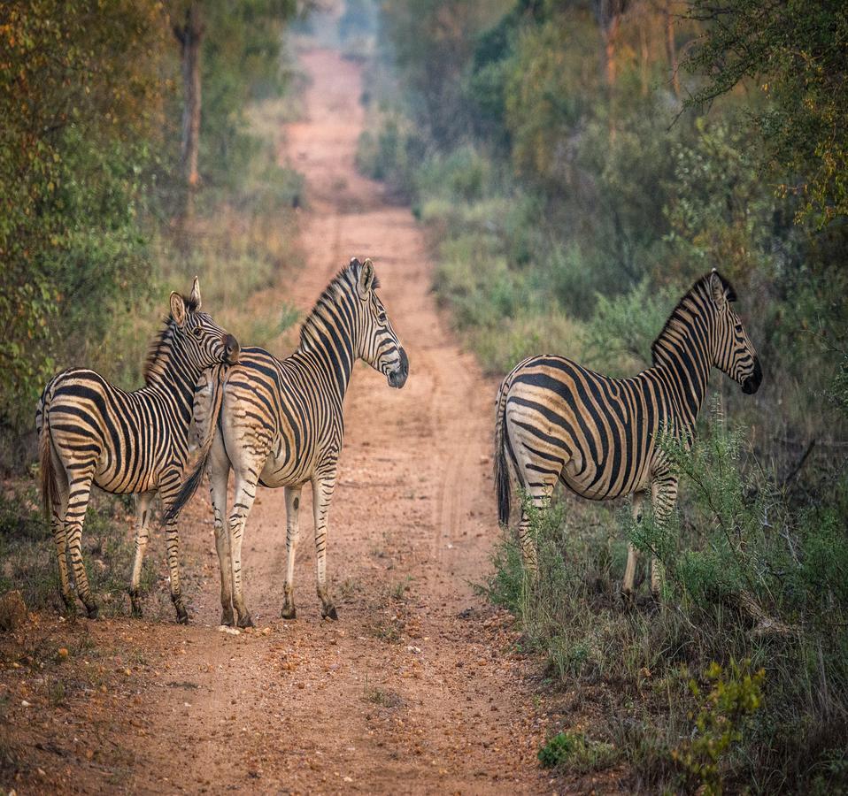 Little Garonga Villa Makalali Game Reserve Exteriör bild
